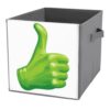 Reccmeny Green Thumbs Up Cube Storage Bins