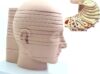Removable Human Brain Cross-Section,Human Head Cross Section Model 12 Parts for Medical Classroom Study