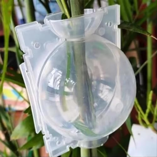 Reusable Plant Air Layering Rooting Ball Pod, High Pressure Propagation Root Growing Box, S/M/L Sizes Plastic Air Layer Grafting Case for Tree Cutting, Garden Nursery Plant Breeding (M)