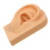 Right Ear Silicone Human Model for Jewelry Display and Piercing Practice