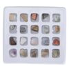 RiToEasysports Rock Collection Kit 20pcs Fun Educational Minerals for Kids Geology Lovers and Teachers (Original Rock Set 2)