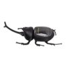 RiToEasysports Solar Powered Toy, Dung Model for Educational Science