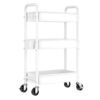 Rolling Cart and Slim Rolling Storage Cart