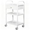 Salon Trolley Cart with Wheels, Rolling Storage Organizer 3-Tier Shelves Utility Trolley for Beauty and Barber Shop, Spa - H85cm/33.5" Mobile Workstation