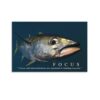 Salt Water Tuna Fishing Motivational Canvas Printing Wall Art Prints Wall Decor Posters Scandinavian Bohemian Ocean Tackle Lures Reels Rods Living Room Bedroom Home Office 20x30inch(50x75cm)