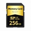 SDXC UHS-I Memory Card 256GB, Speed Class 10 U3 V30, Flash Storage for Digital Cameras and Camcorders Golden