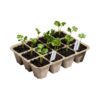Shikiy 10 Pcs Seed Starter Trays 120 Cells Germination Plant Tray Peat Pots