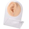 Silicone Tattoo Practice Body Parts Model Set – Left Ear, Right Ear, Nose, Lip, Navel(Skin Ear with Hole-R)