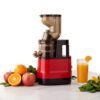 Slow Masticating Cold Press Juicer 300W, BPA-Free Compact Juice Extractor