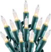 SmartDawn Christmas Mini String Lights - 50 Count Clear Incandescent Christmas Lights Green Wire