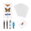 Specimen Tools - Butterfly Kit | Entomology Preparation Set