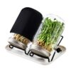 Sprouting Jar Kit, 2-Pack Glass Jars, 33.8 oz with Stainless Steel Mesh Lid