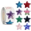 Star Stickers for Over 13 Years Old Kids Reward, Student Planner and School Teacher Supplies G1235