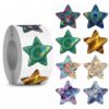 Star Stickers for Over 13 Years Old Kids Reward, Student Planner and School Teacher Supplies G1230
