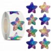 Star Stickers for Over 13 Years Old Kids Reward, Student Planner and School Teacher Supplies G1241