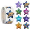 Star Stickers for Over 13 Years Old Kids Reward, Student Planner and School Teacher Supplies G1243
