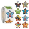 Star Stickers for Over 13 Years Old Kids Reward, Student Planner and School Teacher Supplies G1240