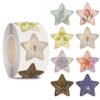 Star Stickers for Over 13 Years Old Kids Reward, Student Planner and School Teacher Supplies G1262