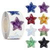 Star Stickers for Over 13 Years Old Kids Reward, Student Planner and School Teacher Supplies G1269