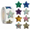Star Stickers for Over 13 Years Old Kids Reward, Student Planner and School Teacher Supplies G1253
