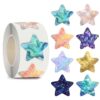 Star Stickers for Over 13 Years Old Kids Reward, Student Planner and School Teacher Supplies G1271