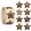 Star Stickers for Over 13 Years Old Kids Reward, Student Planner and School Teacher Supplies G1224