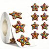 Star Stickers for Over 13 Years Old Kids Reward, Student Planner and School Teacher Supplies G1219