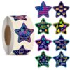Star Stickers for Over 13 Years Old Kids Reward, Student Planner and School Teacher Supplies G1265