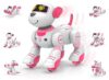 STEMTRON Programmable RC Robot Dog for Kids with Touch & Music