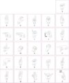StickerTalk ASL Alphabet Chart Vinyl Sticker