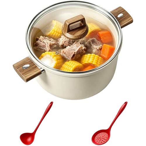 Stock Pot, 10.2 in Stone-derived Aluminum Alloy Cooking Pot with Glass Lid and Heat-safe Handles, Large Capacity Cookware, 2 Silicone Spoons Included, for Induction Gas Ceramic Hobs