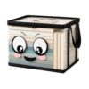 Storage Box with Lid Large Clear Double Handles