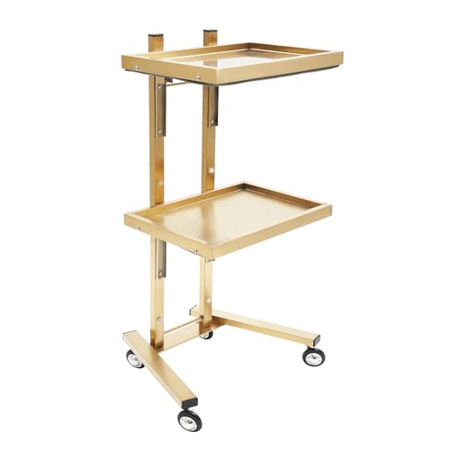 SVJGHQMLR 2 Tier Metal Rolling Cart Salon Trolley Cart Folding Stainless Steel Storage Stand with Wheels Durable Construction Easy Mobility Space Saving Versatile for Tattoo Spa Salons Studios Gold