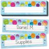 Teacher Created Resources Brights 4Ever Flat Name Plates (TCR6937)