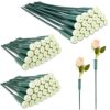 Tessco for you 72 Pcs Floral Water Tubes 12 Inch, 6 Inch for Flower, Green