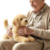 THDUOZI Lifelike Ragdoll Cat Companion Pet for Seniors, Plush Cat