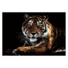 Tiger Scratch Art for Teens & Adults - Rainbow Painting Sketch Pads with 3
