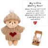 TOYMIS Mini Plush Bear with Inspirational Card for Friends Family Lovers