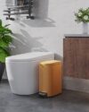 TrailBlaze Slim 10L/2.6 Gallon Step Trash Can with Lid, Stainless Steel Kitchen/Bathroom Garbage Bin - Soft-Close - Removable Inner Bucket - Waterproof - Odor Control - Rear Carry Handle,