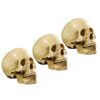 TrnAAs 3X Realistic Human Resin Model Skeleton Teaching Function Detail Made of Resin Suitable for Home Display Bar Decor Gift Giving