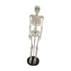 TrnAAs Stand Fexible, Skeleton Model, 33.5 Inch with Display Stand, Spine Model, for Educational Tool Study Kids Learning, Black Base