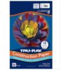 Tru-Ray® Construction Paper, 50% Recycled, 9" x 12", White, 50 Sheets/Pack, Case of 50 Packs, 2500 Sheets Total