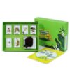 TTETTZ Children Learning Specime Biology Kit with Resin Blocks Collection Box Tray Organizer Printed Learning Cards Classroom Aids Suitable for Classroom, Journey of Seeds