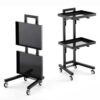UBNMIUBV Beauty Cart Rolling Tool Trolley, 2 Tier Storage Tray, Salon Trolley for Beauty Hair Salon Tattoo Spa Studio Home,Nero,Nero