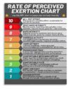UCGAOIOQ Exercise Effort and Intensity Chart Motivational Workout Poster Canvas Wall-Art for Gym Decor Home Fitness Room Training Guide(Unframed,12x18inch(30x45cm))
