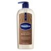 Vaseline Intensive Care Cocoa Radiant Body Gel Oil with 100% Pure Cocoa Butter, 12 oz (Pack of 6)
