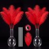 Vincreem 31 Pcs Red Large Ostrich Feathers Bulk Making Kit 16-18 Inch Natural Feathers Wire Tape for Vase Wedding Centerpieces Floral Arrangements Party Table Decor DIY Crafts