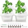 VIVOSUN FlexFeed DWC Hydroponic System Kit, Deep Water Culture Grow Kit