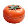 Volumes Visual Mechanical Timers with Clear Visual, Orange1