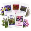 Vyrgromm 5-in-1 Herb & Flower Seeds Variety Pack - Catnip, Pansy, Coleus, Thyme & Dwarf Petunia Seeds for Planting - Non-GMO Heirloom Seed Collection for Indoor & Outdoor Home Garden